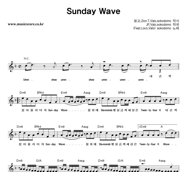 sokodomo Sunday Wave  Ǻ