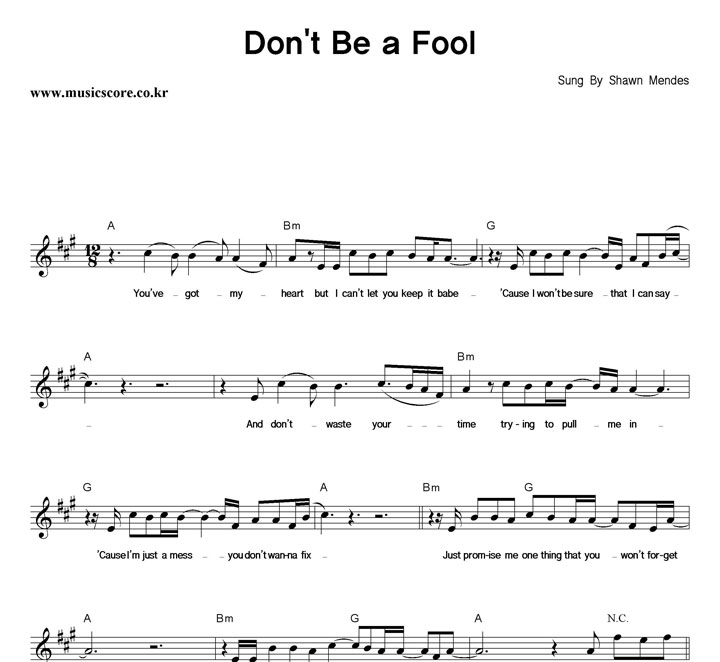 Shawn Mendes Don't Be A Fool Ǻ