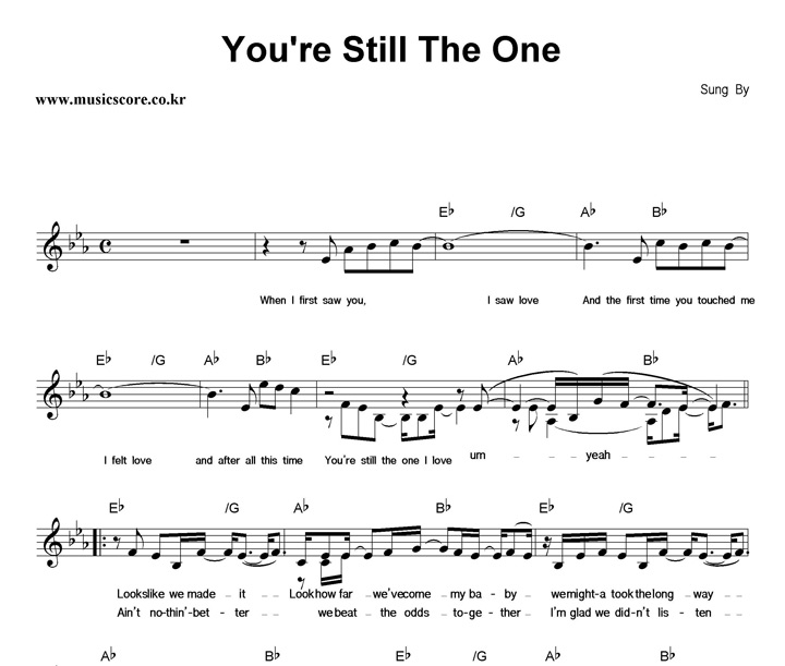 Shania Twain You're Still The One Ǻ