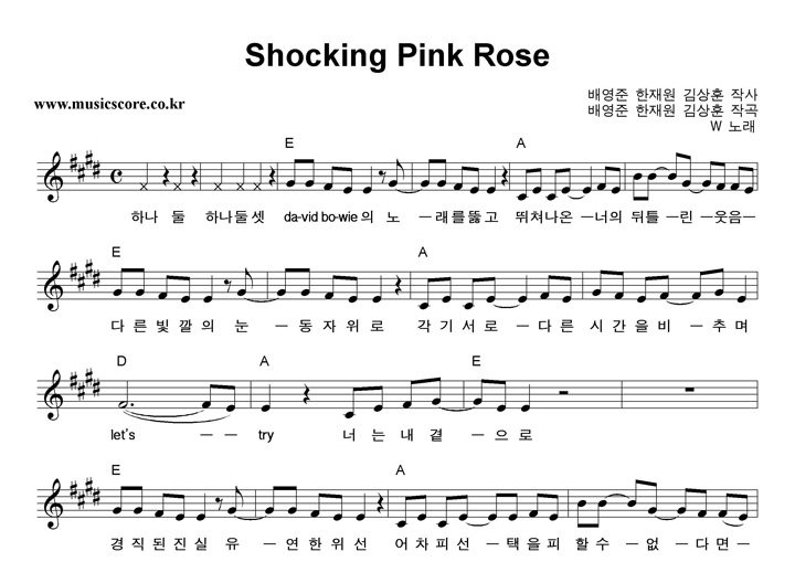 W Shocking Pink Rose Ǻ