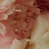 SomethingInTheHeavens  Ǻ