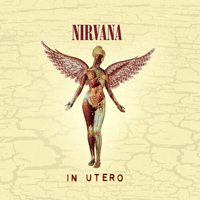 Nirvana Heart-Shaped Box Ǻ ٹ 