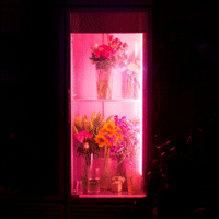 그대의꿈결  악보